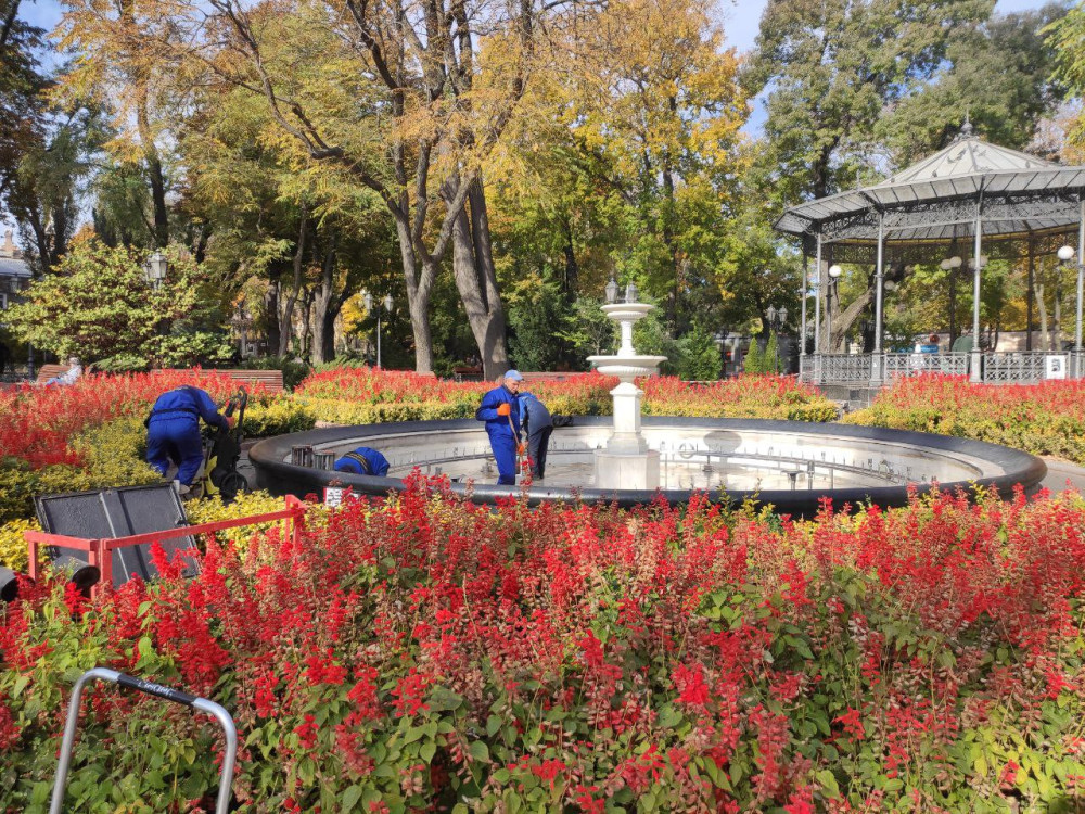 3437 image for slide