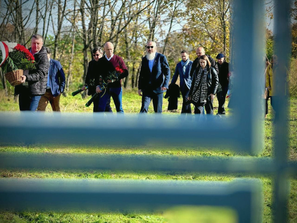 3974 image for slide