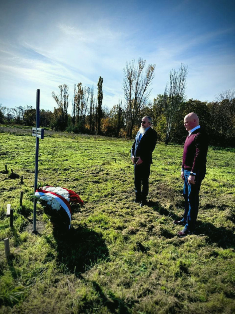 3977 image for slide