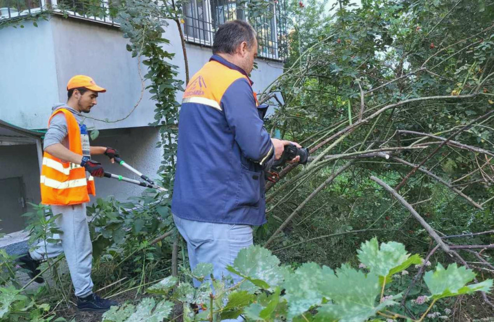 4837 image for slide