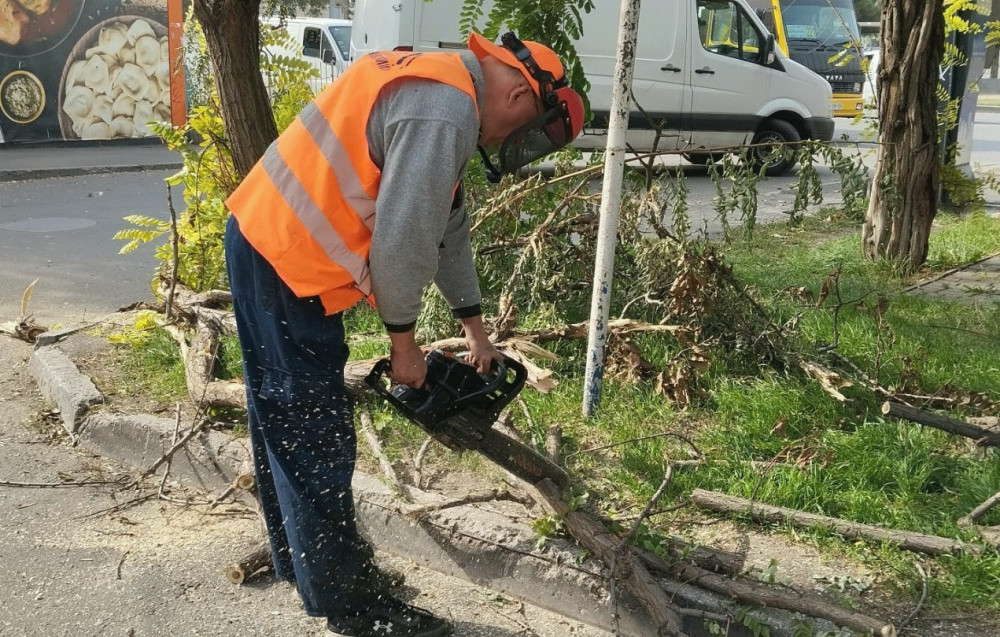 4841 image for slide