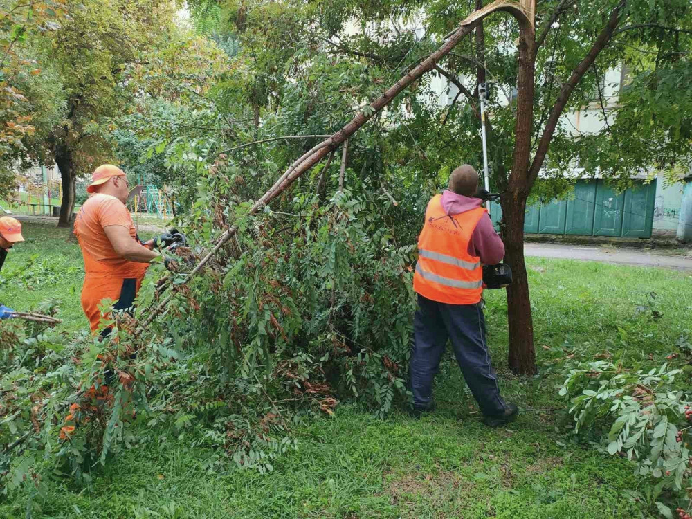 4843 image for slide