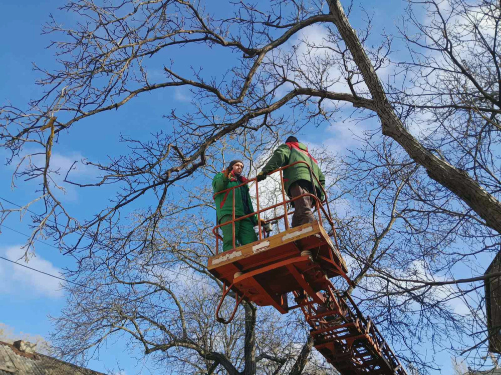 4849 image for slide