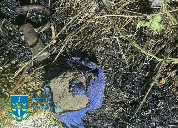 5042 image for slide