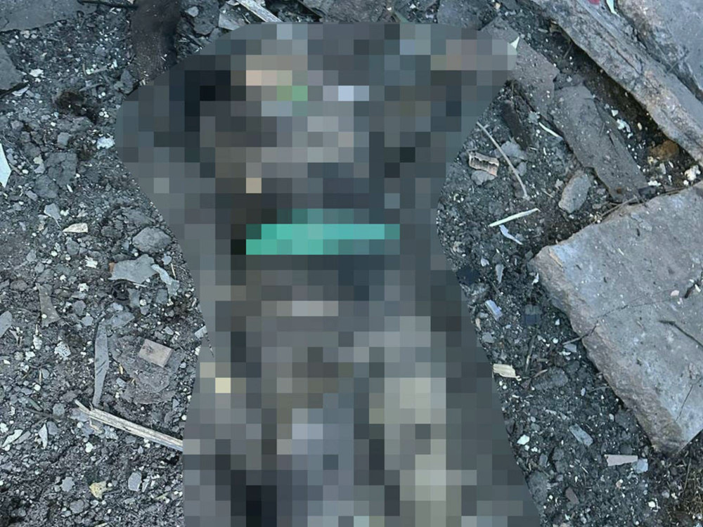 5062 image for slide