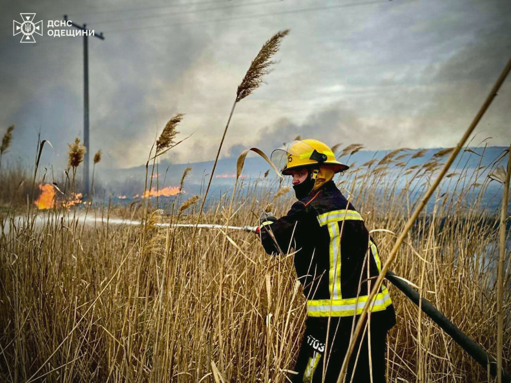 5990 image for slide