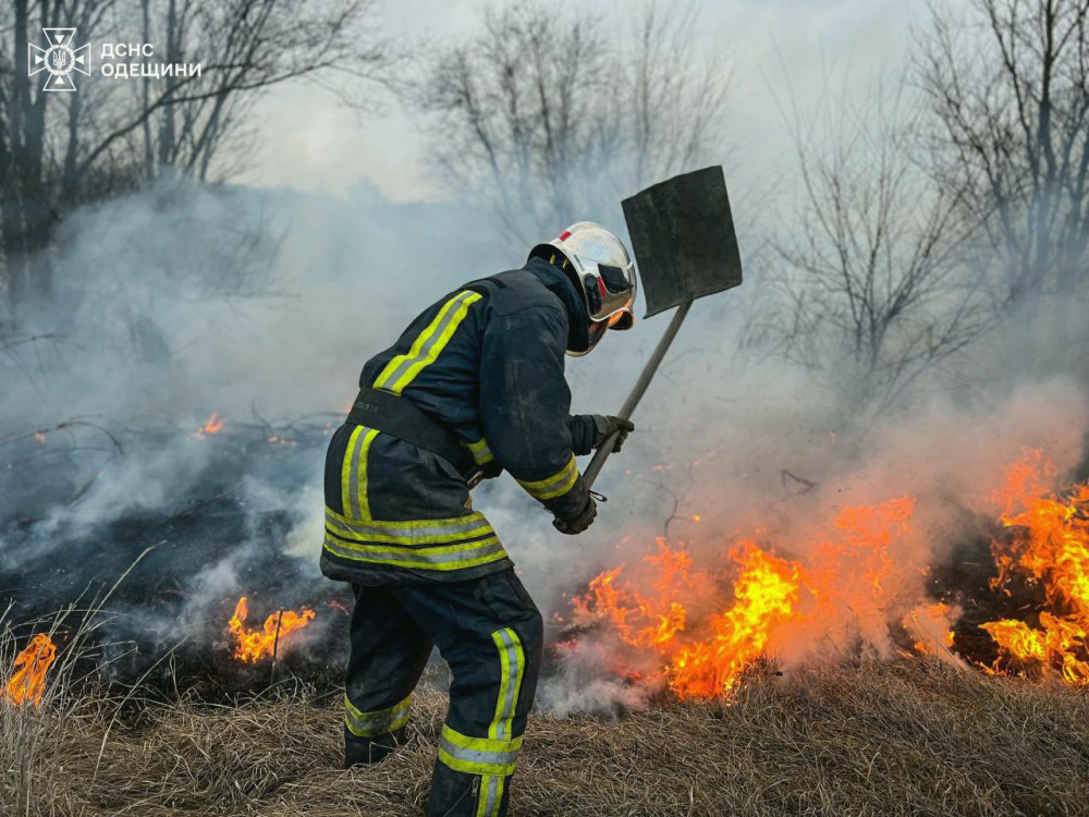 5991 image for slide