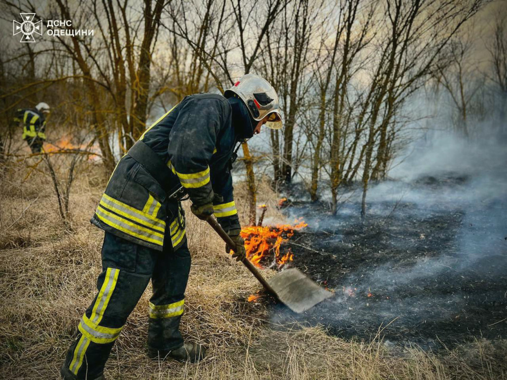 5992 image for slide