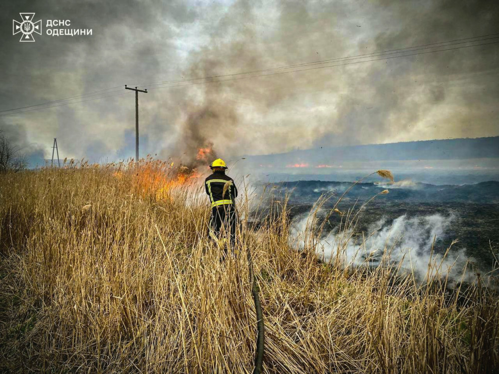 5993 image for slide