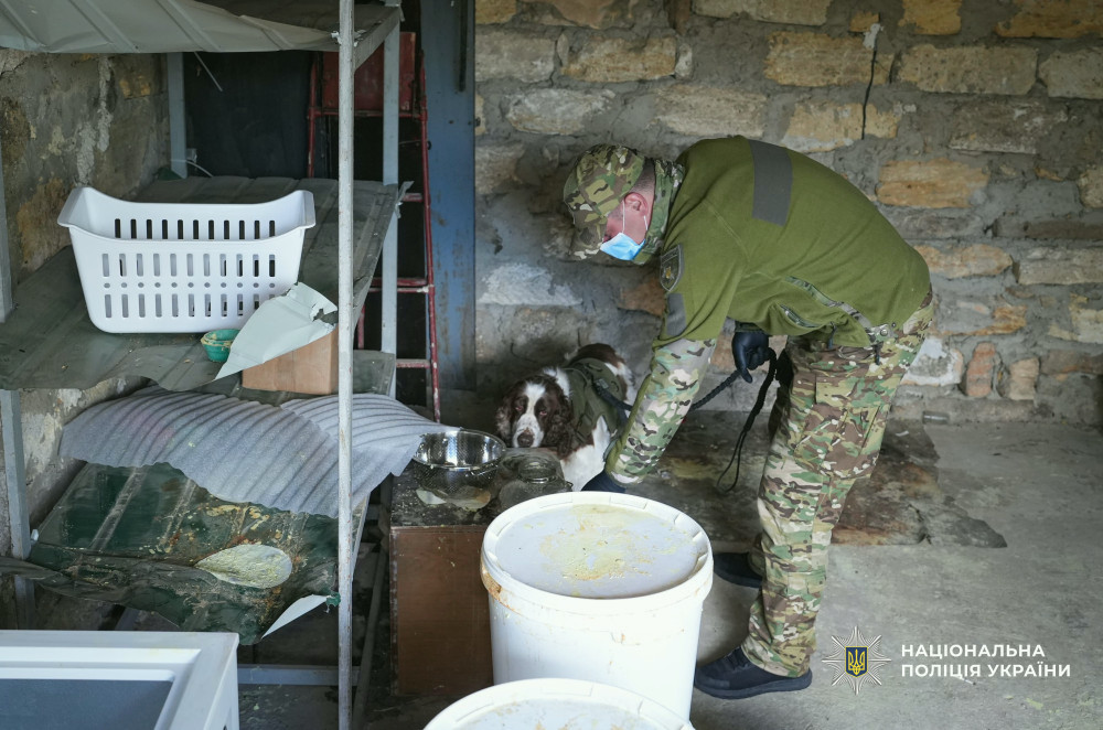 6277 image for slide