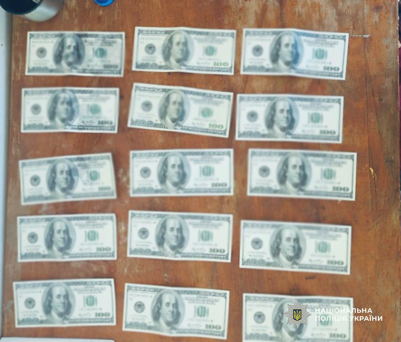 7273 image for slide