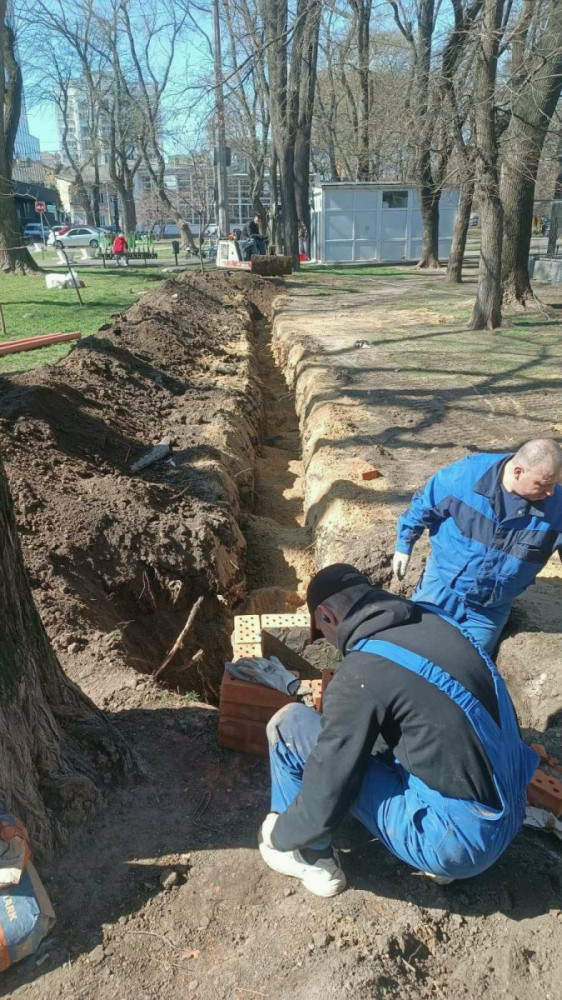 7297 image for slide