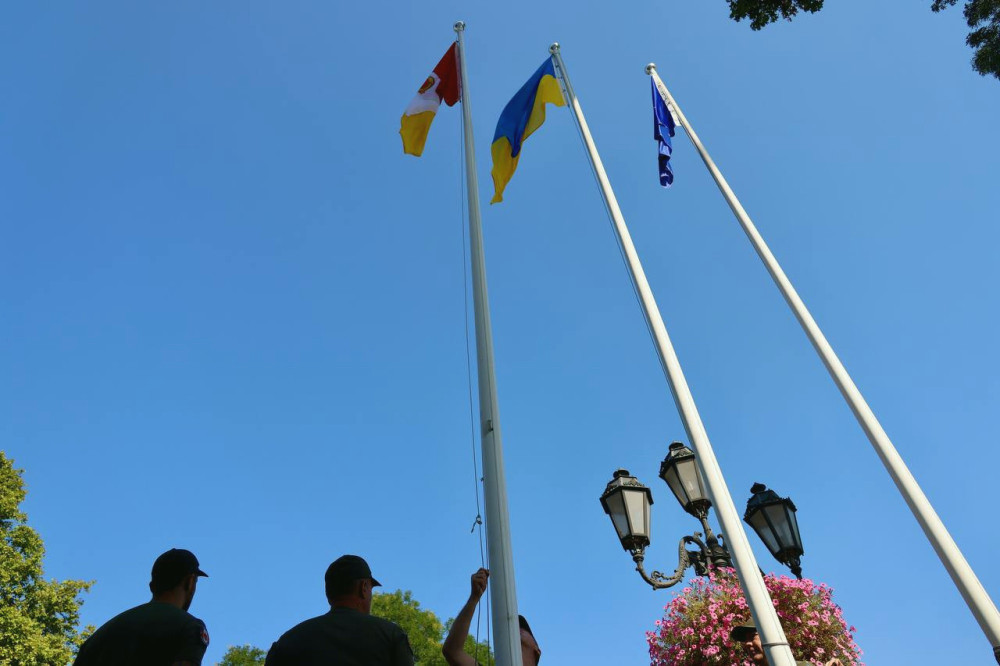 8289 image for slide