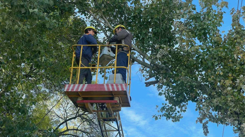 9323 image for slide