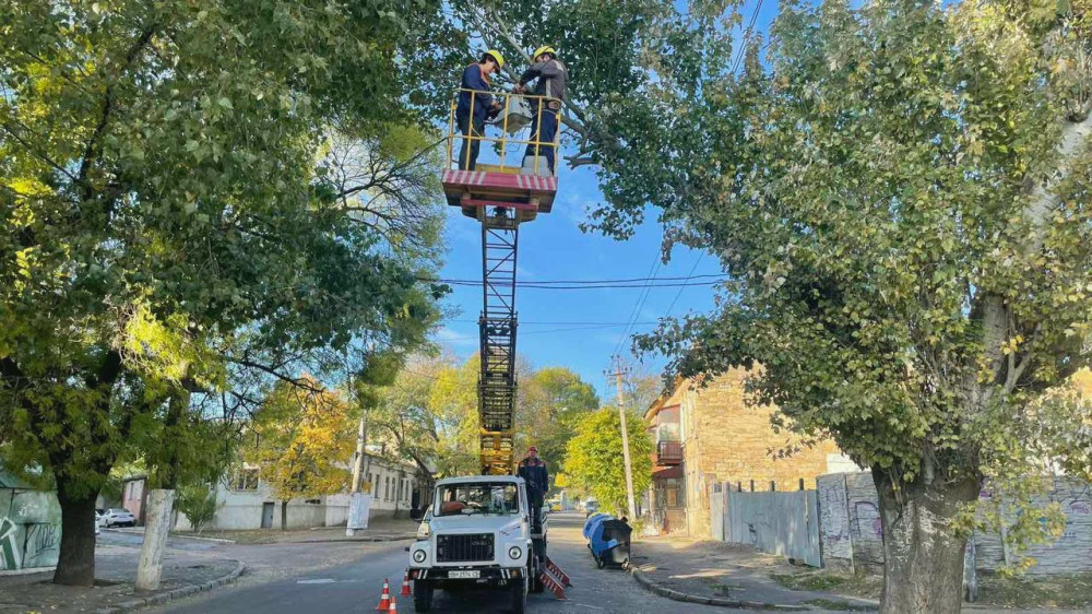 9325 image for slide