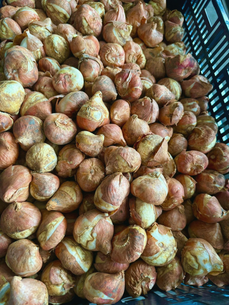 9338 image for slide