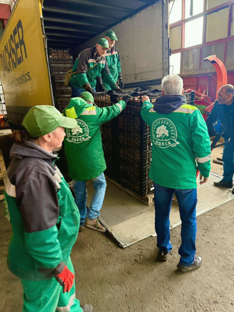 9339 image for slide