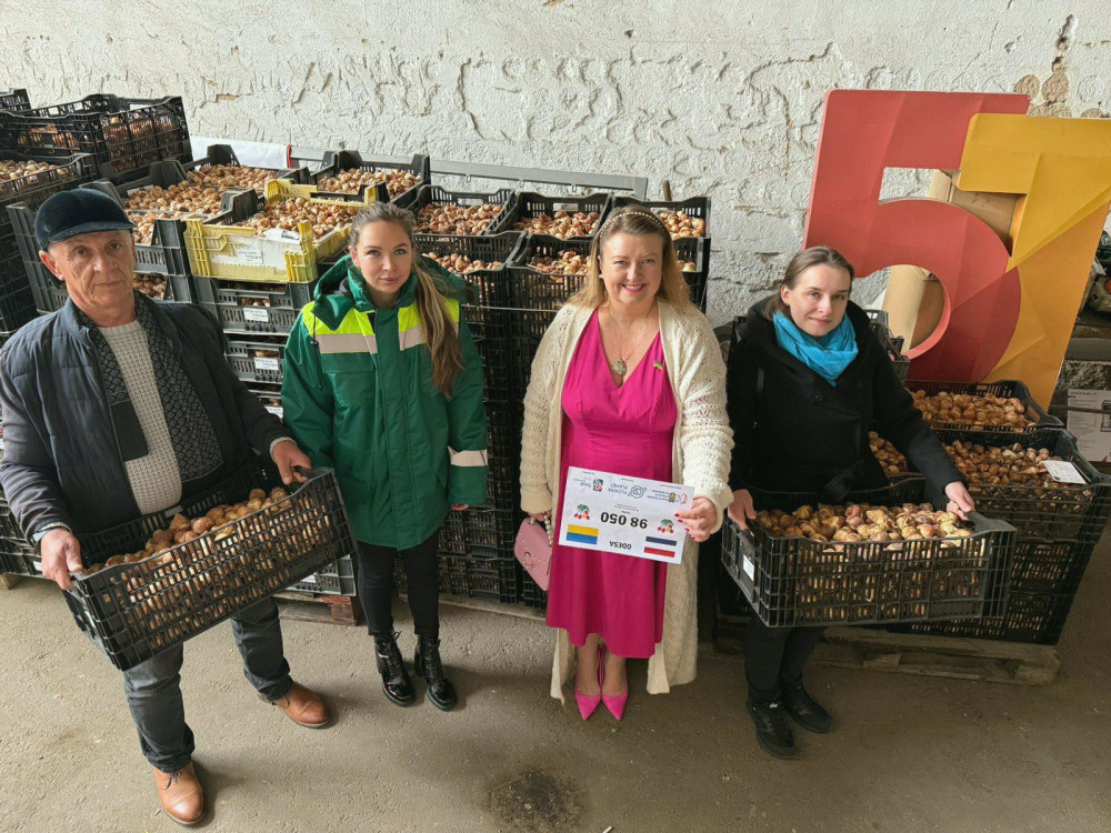 9340 image for slide