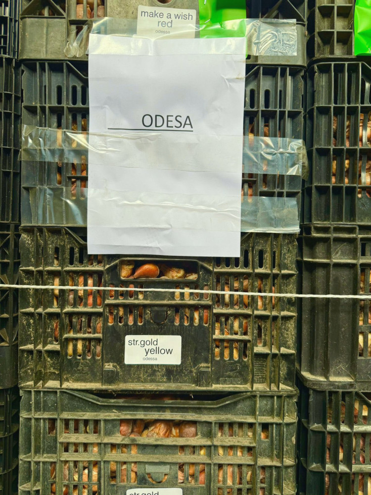 9341 image for slide