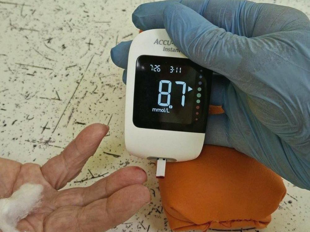 9476 image for slide