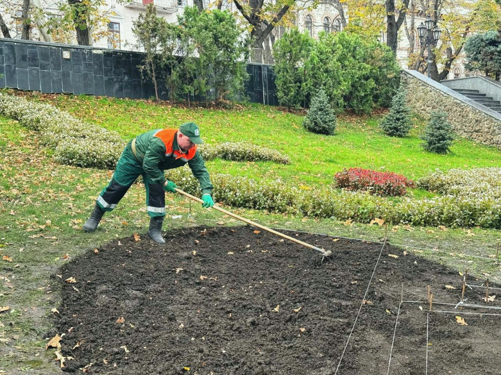 9642 image for slide