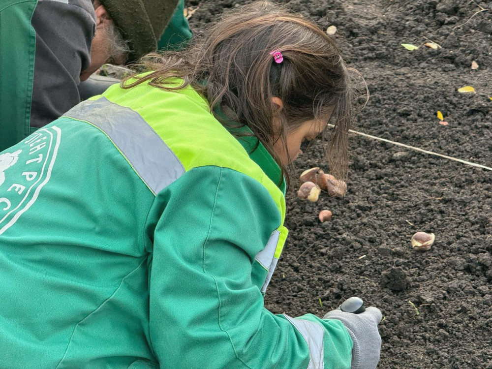 9649 image for slide