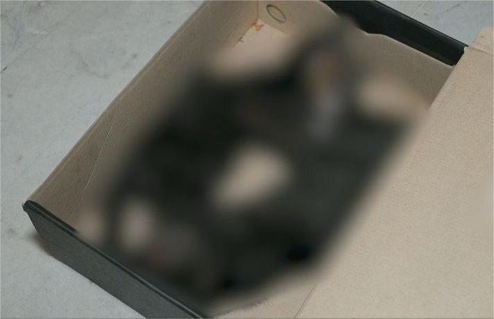 9816 image for slide