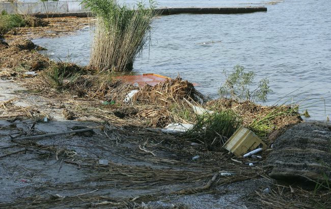 9824 image for slide