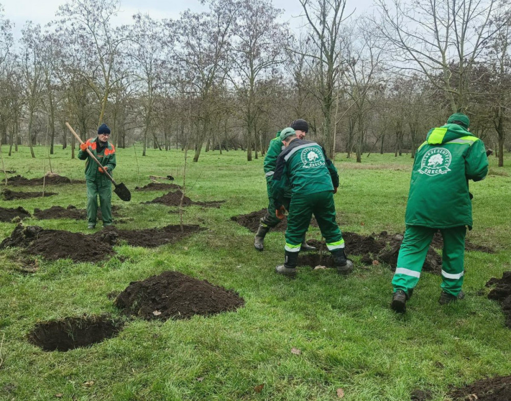 9889 image for slide