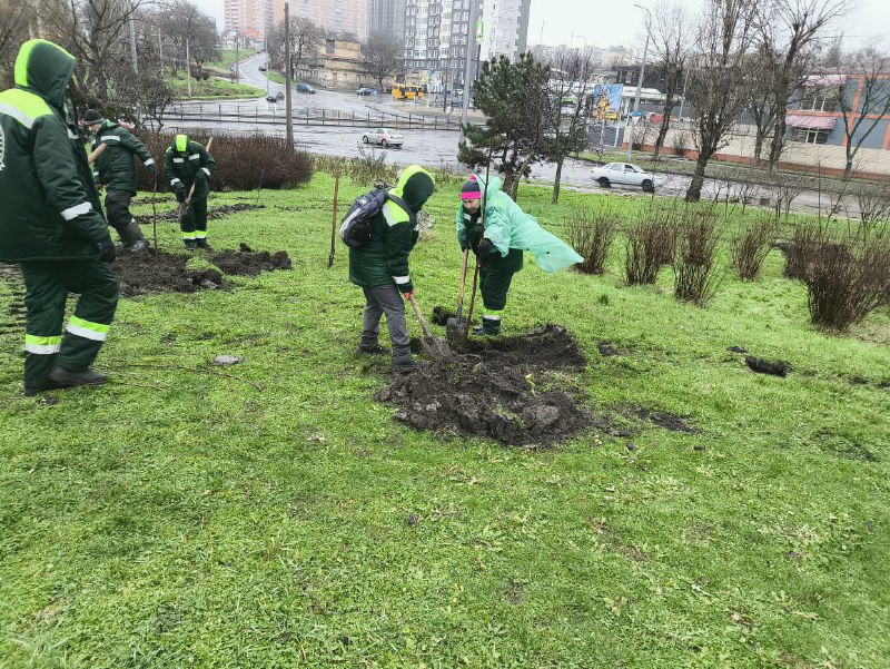 9891 image for slide