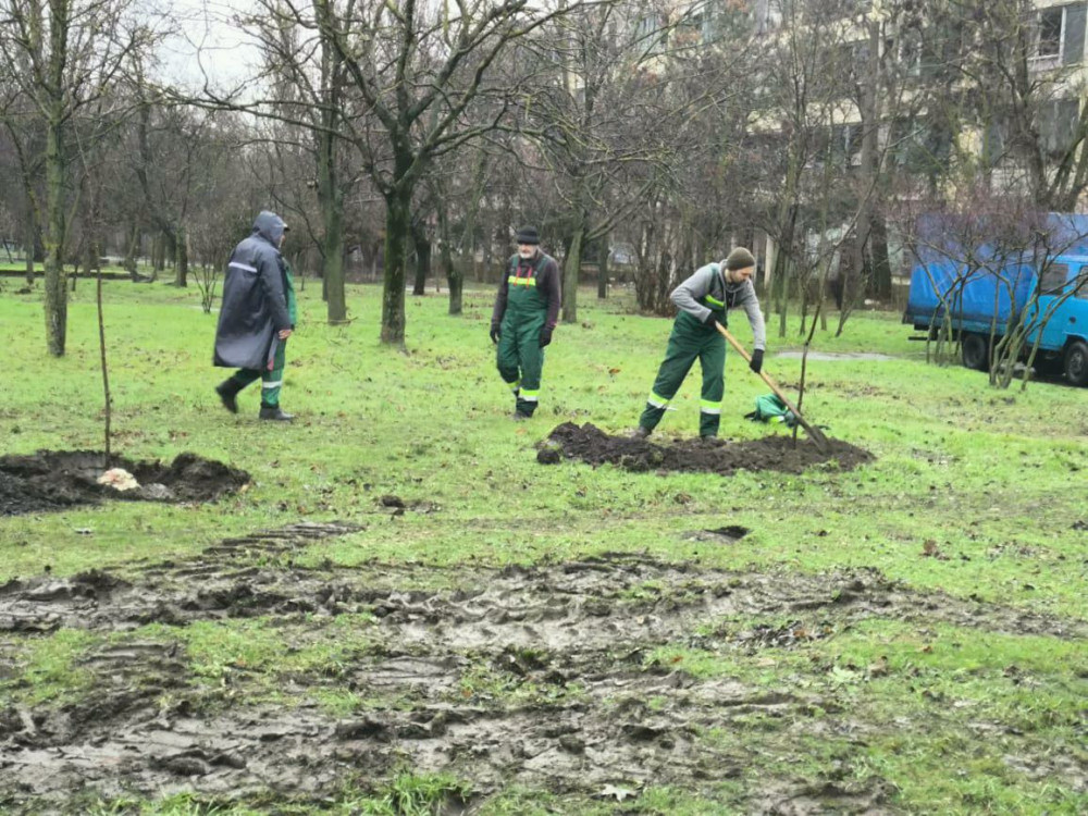 9892 image for slide