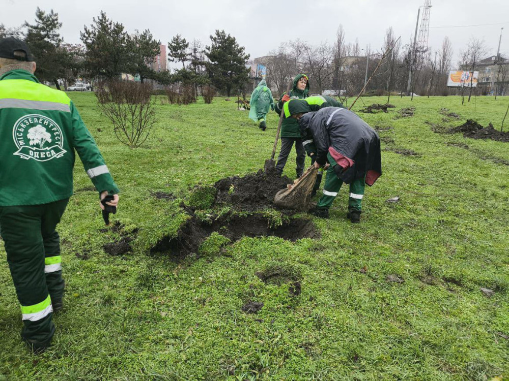 9893 image for slide